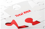 Extraction et purification d'ARN totaux
