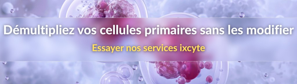 upcyte-service
